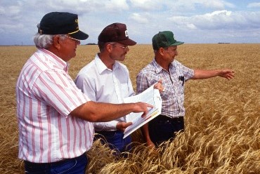 Asesoramiento Técnico